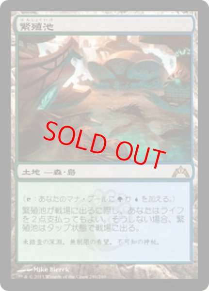 画像1: 【日本語版】《繁殖池/Breeding Pool》[GTC] (1)