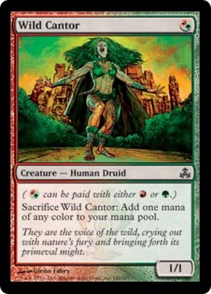 画像1: 【Foil】【英語版/EX】《野生の朗詠者/Wild Cantor》[GPT] (1)