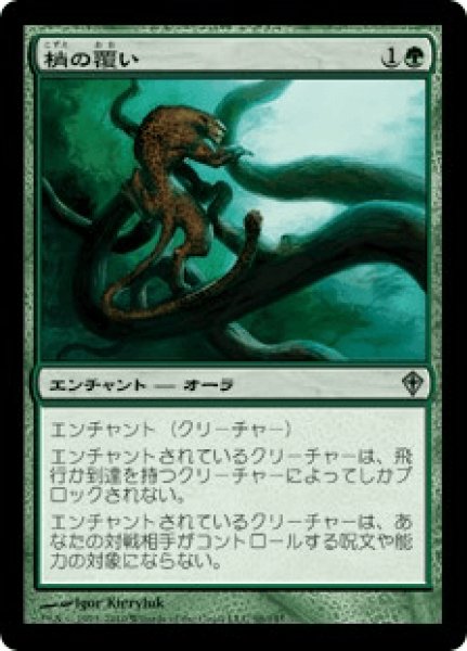 画像1: 【Foil】【日本語版】《梢の覆い/Canopy Cover》[WWK] (1)