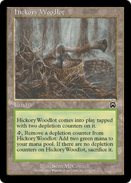 画像1: 【英語版】《ヒッコリーの植林地/Hickory Woodlot》[MMQ] (1)
