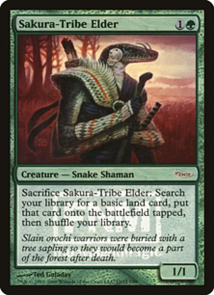 画像1: 【Foil】【プロモ】【英語版】《桜族の長老/Sakura-Tribe Elder》[FNM] (1)