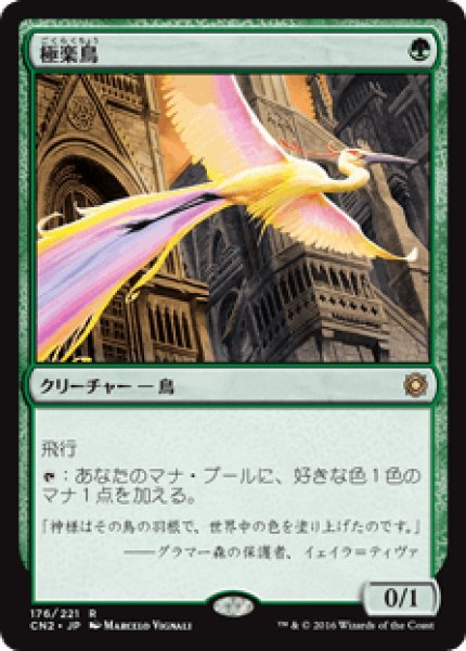 画像1: 【日本語版】《極楽鳥/Birds of Paradise》[CN2] (1)