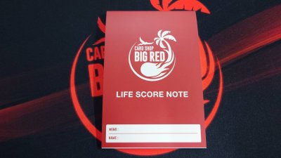 画像1: 【BIGREDオリジナル】LIFE SCORE NOTE [Ver.9]