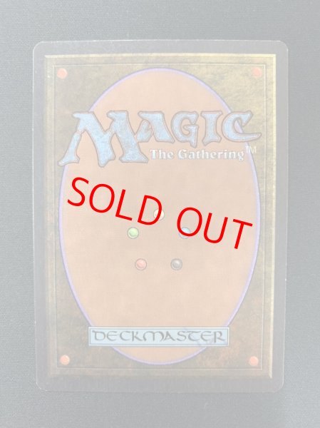 画像2: 【英語版/EX】《Tropical Island》[2ED] (2)