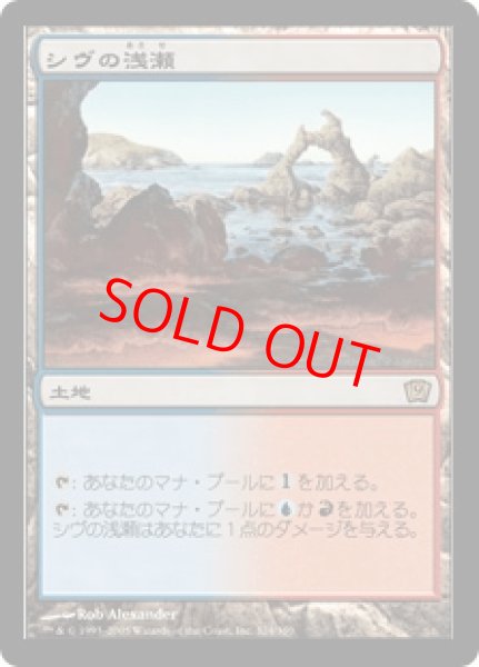 画像1: 【Foil】【日本語版/EX】《シヴの浅瀬/Shivan Reef》[9ED] (1)