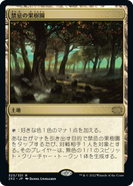 画像1: 【日本語版】《禁忌の果樹園/Forbidden Orchard》[2X2] (1)