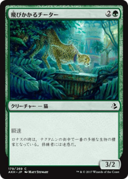 画像1: 【日本語版】《飛びかかるチーター/Pouncing Cheetah》[AKH] (1)