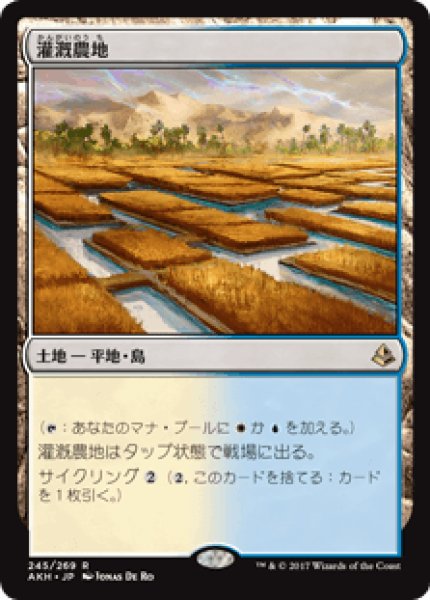 画像1: 【日本語版】《灌漑農地/Irrigated Farmland》[AKH] (1)