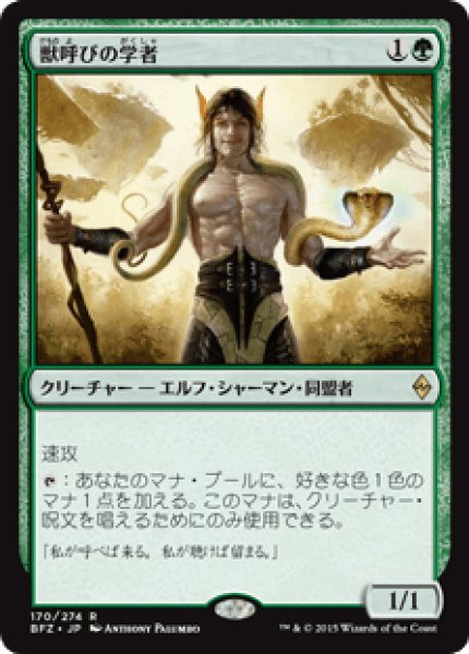 画像1: 【日本語版】《獣呼びの学者/Beastcaller Savant》[BFZ] (1)