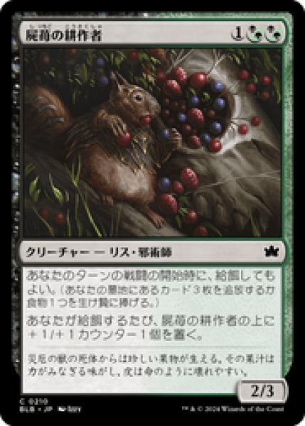 画像1: 【日本語版】《屍苺の耕作者/Corpseberry Cultivator》[BLB] (1)