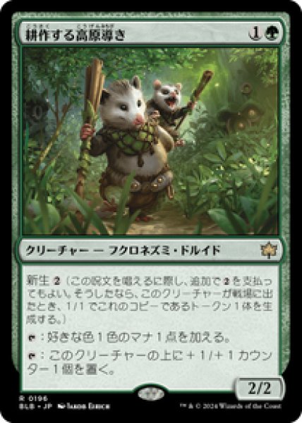 画像1: 【Foil】【日本語版】《耕作する高原導き/Tender Wildguide》[BLB] (1)