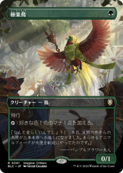 画像1: 【ボーダーレス】【日本語版】《極楽鳥/Birds of Paradise》[BLC] (1)