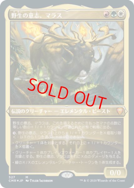 画像1: 【Foil】【エッチング】【日本語版】《野生の意志、マラス/Marath, Will of the Wild》[CMR] (1)