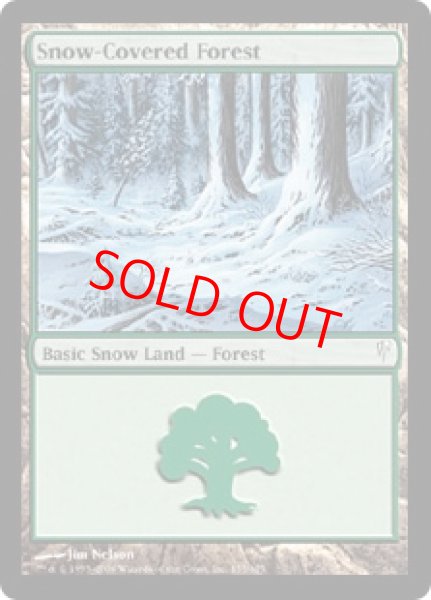 画像1: 【英語版】《冠雪の森/Snow-Covered Forest》[CSP] (1)