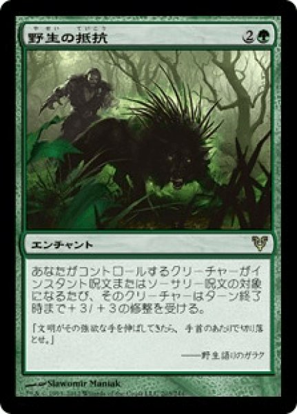画像1: 【Foil】【日本語版】《野生の抵抗/Wild Defiance》[AVR] (1)