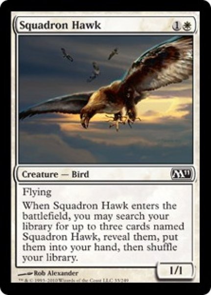 画像1: 【英語版】《戦隊の鷹/Squadron Hawk》[M11] (1)