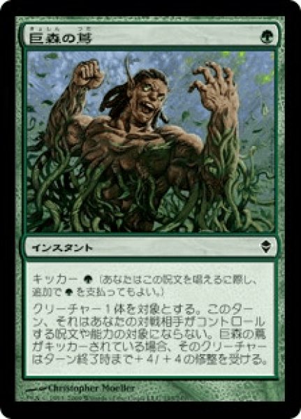画像1: 【Foil】【日本語版/EX】《巨森の蔦/Vines of Vastwood》[ZEN] (1)