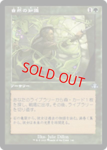 画像1: 【Foil】【旧枠】【日本語版】《自然の知識/Nature's Lore》[DMR] (1)