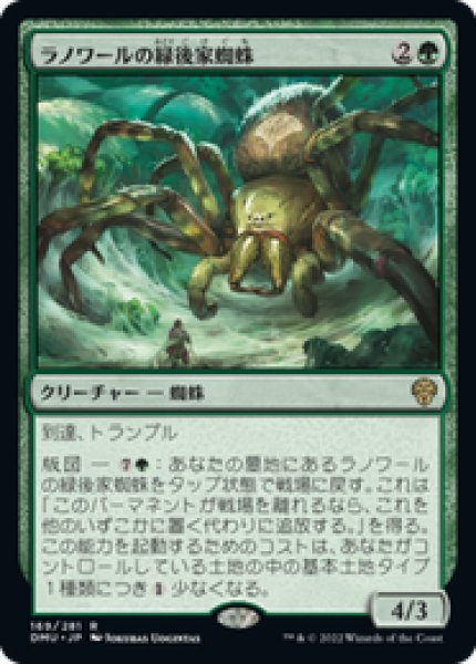 画像1: 【Foil】【日本語版】《ラノワールの緑後家蜘蛛/Llanowar Greenwidow》[DMU] (1)