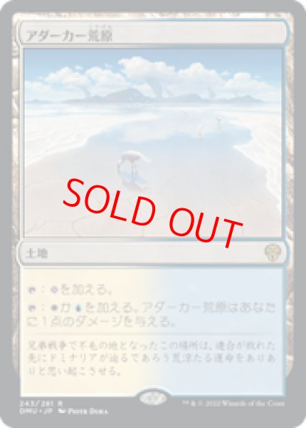画像1: 【日本語版】《アダーカー荒原/Adarkar Wastes》[DMU] (1)