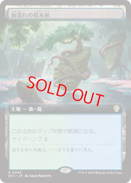 画像1: 【拡張アート】【日本語版】《雨濡れの低木林/Rain-Slicked Copse》[ECC] (1)