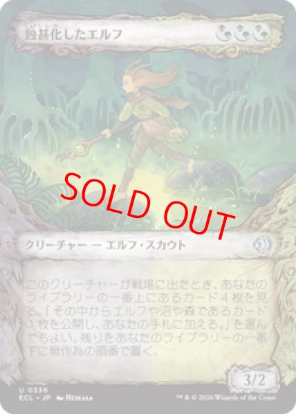 画像1: 【Foil】【ショーケース】【日本語版】《蝕甚化したエルフ/Eclipsed Elf》[ECL] (1)