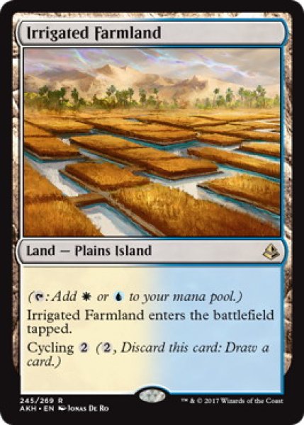 画像1: 【英語版】《灌漑農地/Irrigated Farmland》[AKH] (1)