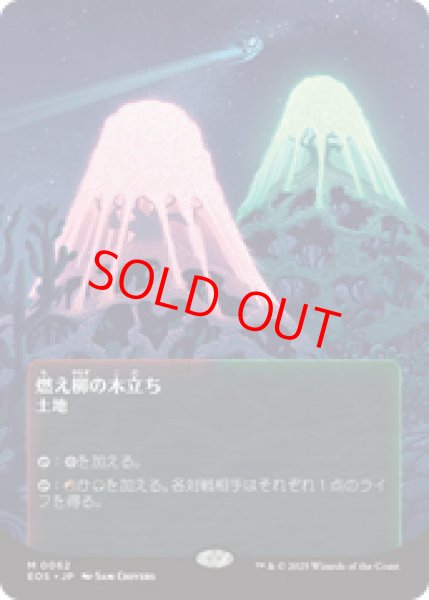画像1: 【Foil】【星景ポスター】【日本語版】《燃え柳の木立ち/Grove of the Burnwillows》[EOS] (1)