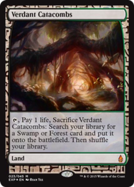 画像1: 【Foil】【英語版】《新緑の地下墓地/Verdant Catacombs》[EXP] (1)