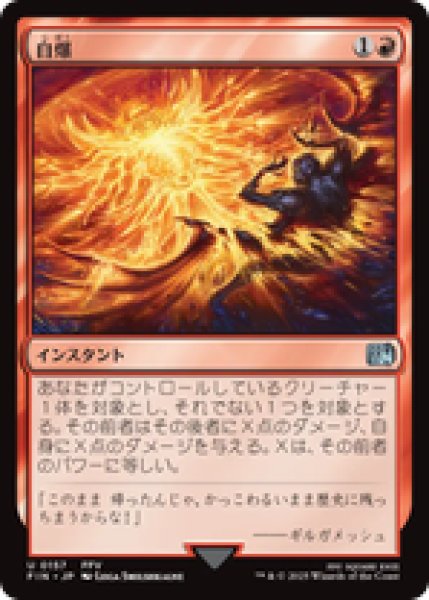 画像1: 【日本語版】《自爆/Self-Destruct》[FIN] (1)
