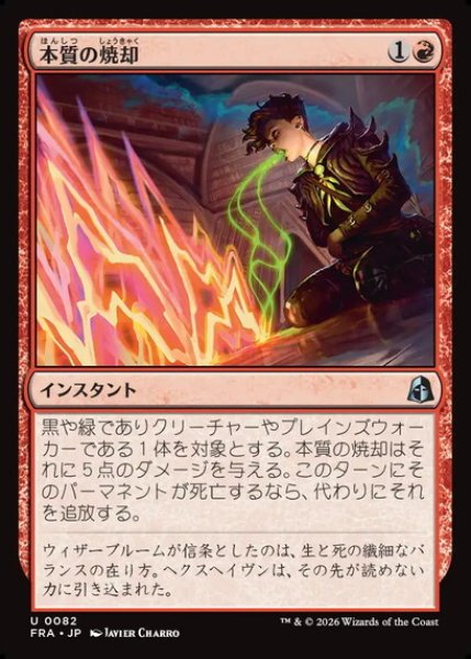 画像1: 【日本語版】《本質の焼却/Essence Burn》[FRA] (1)