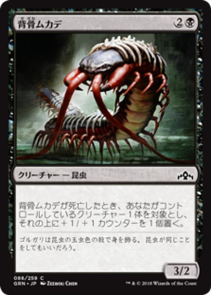 画像1: 【日本語版】《背骨ムカデ/Spinal Centipede》[GRN] (1)