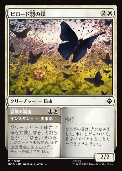画像1: 【日本語版】《ビロード羽の蝶/Velvetwing Butterflies》[HOB] (1)