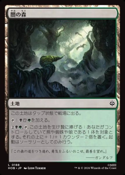 画像1: 【日本語版】《闇の森/Mirkwood》[HOB] (1)