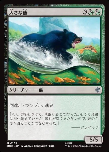 画像1: 【日本語版】《大きな熊/Large Bear》[HOB] (1)