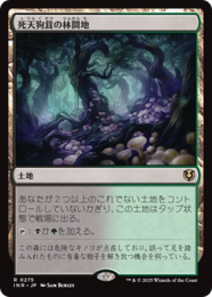 画像1: 【日本語版】《死天狗茸の林間地/Deathcap Glade》[INR] (1)