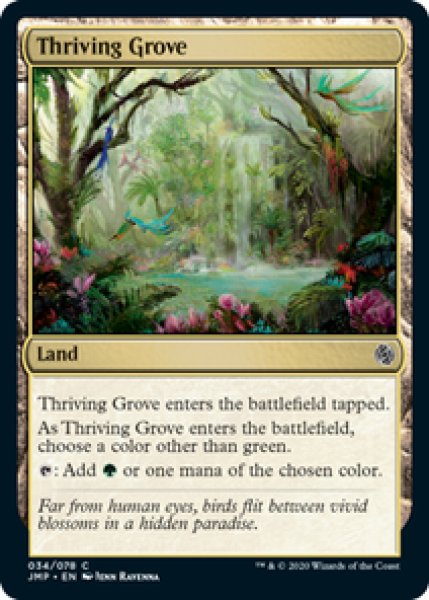 画像1: 【英語版】《興隆する木立/Thriving Grove》[JMP] (1)