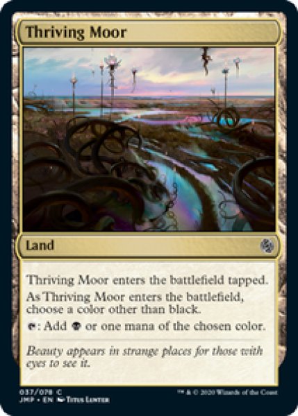 画像1: 【英語版】《興隆する湿地帯/Thriving Moor》[JMP] (1)