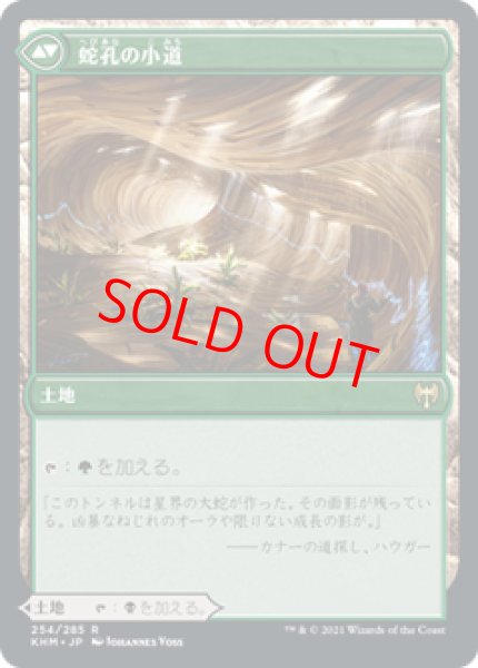 画像2: 【日本語版】《闇孔の小道/Darkbore Pathway》[KHM] (2)