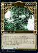 画像2: 【Foil】【ショーケース】【日本語版】《樹の神、エシカ/Esika, God of the Tree》[KHM] (2)