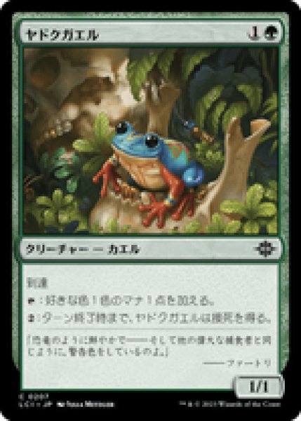 画像1: 【日本語版】《ヤドクガエル/Poison Dart Frog》[LCI] (1)