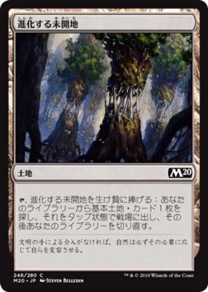 画像1: 【日本語版】《進化する未開地/Evolving Wilds》[M20] (1)