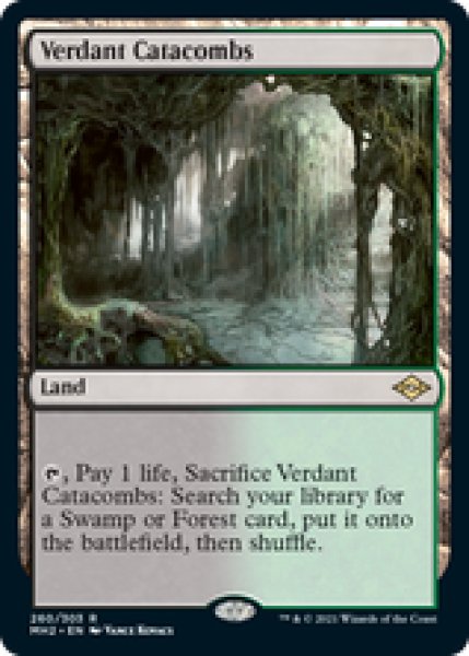 画像1: 【Foil】【英語版】《新緑の地下墓地/Verdant Catacombs》[MH2] (1)