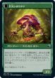 画像2: 【日本語版】《シボウタケの若芽/Deathbonnet Sprout》[MID] (2)