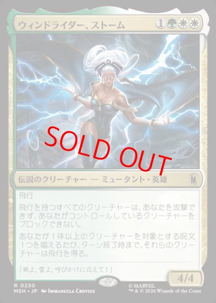 画像1: 【Foil】【日本語版】《ウィンドライダー、ストーム/Storm, Windrider》[MSH] (1)