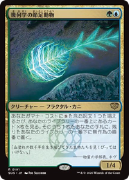 画像1: 『予約商品』【日本語版】《幾何学の節足動物/Geometer's Arthropod》[SOS] (1)