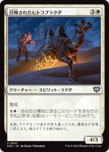 画像1: 『予約商品』【日本語版】《召喚されたヒトコブラクダ/Summoned Dromedary》[SOS] (1)