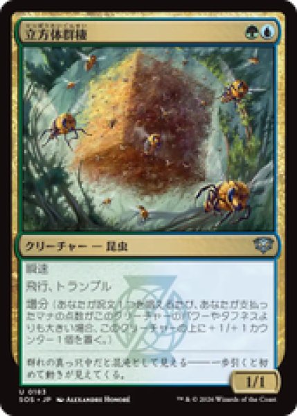 画像1: 『予約商品』【日本語版】《立方体群棲/Cuboid Colony》[SOS] (1)