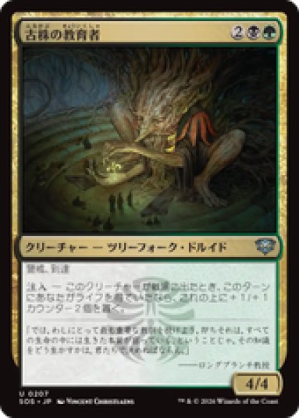画像1: 『予約商品』【日本語版】《古株の教育者/Old-Growth Educator》[SOS] (1)