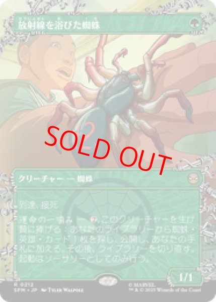 画像1: 【ボーダーレス】【日本語版】《放射線を浴びた蜘蛛/Radioactive Spider》[SPM] (1)